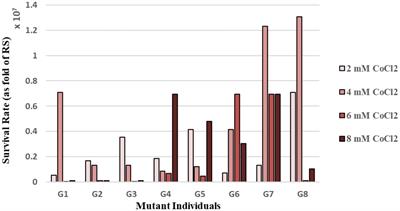 Evolutionary engineering and molecular characterization of cobalt-resistant Rhodobacter sphaeroides